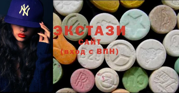 хмурый Аркадак