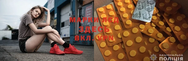 хмурый Аркадак