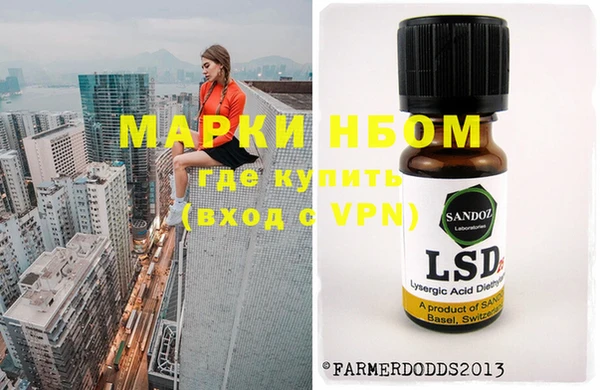 хмурый Аркадак