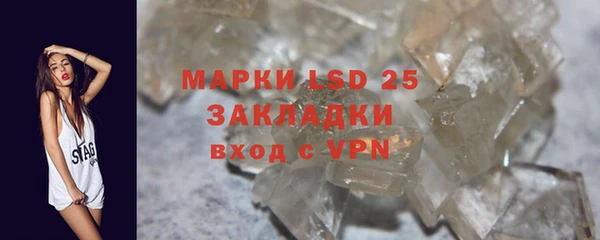 хмурый Аркадак