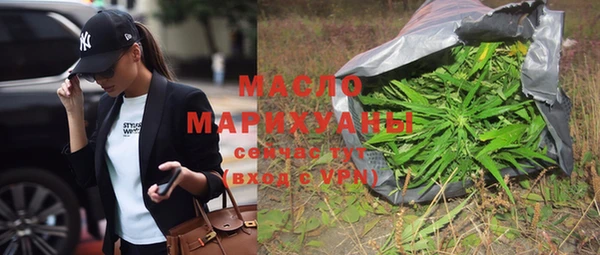 хмурый Аркадак