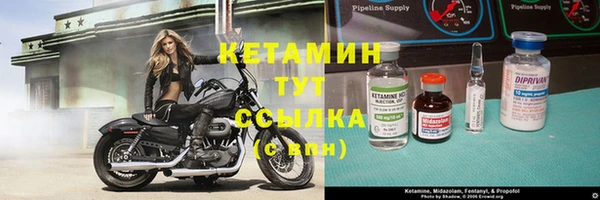 хмурый Аркадак