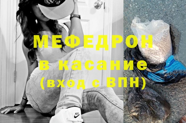 хмурый Аркадак