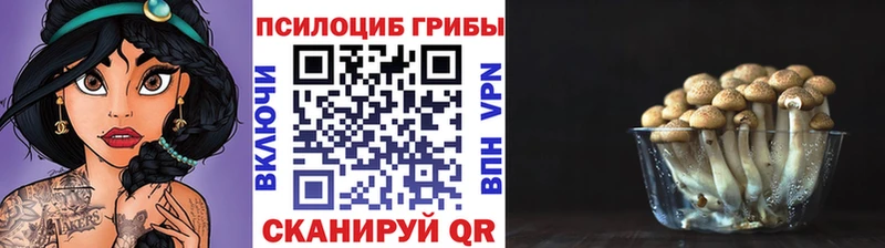 Псилоцибиновые грибы Psilocybine cubensis  Заполярный 